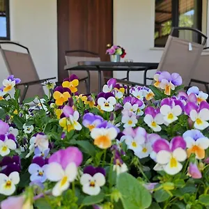https://tre-palmi.sicilyhotelsitaly.net